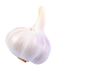 Fresh garlic on white background