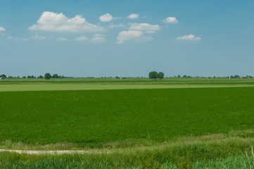 Landscape of Po river estuary area, the Scardovari Inlet