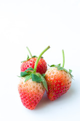 Fresh ripe perfect strawberry - Food Frame Background
