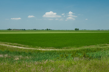 Landscape of Po river estuary surrounding areas, Scardovari Inle