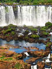 Iguazu falls - 83377588