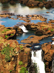 Iguazu Falls - 83377968