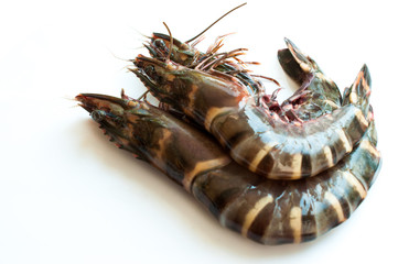 Raw Tiger prawn ready for cooking