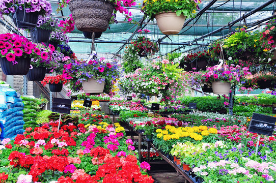 Flower market
