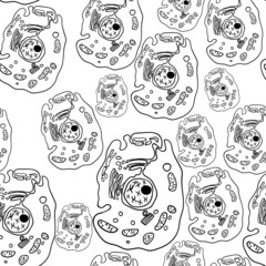 Paramecium of the phylum Ciliophora. Vector 4