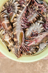 Raw Tiger prawn ready for cooking
