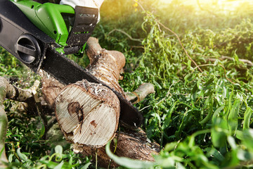 man (lumberjack) cutting trees using an electrical chainsaw - 83380593