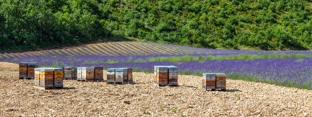 Beehive close to lavander field