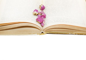 Dry roses on old book page spreads