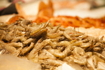 Fresh seafood at fish market