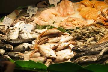 Fresh seafood in the fish market