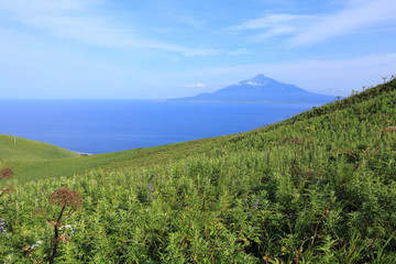 Beautiful scenery at Rebun island, Hokkaido, Japan