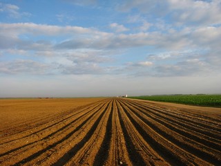 Plowed Agricultural Field