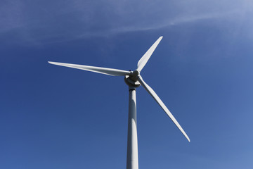 wind turbine for electric generation
