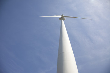 wind turbine for electric generation