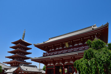 Naklejka premium 晴れた日の浅草寺 五重塔と宝蔵門