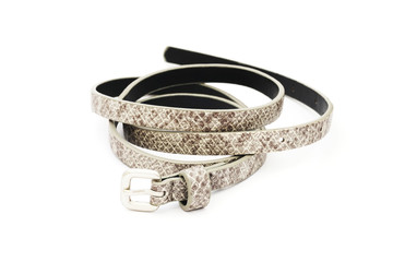 gray fake leather belt, snake pattern, on white background