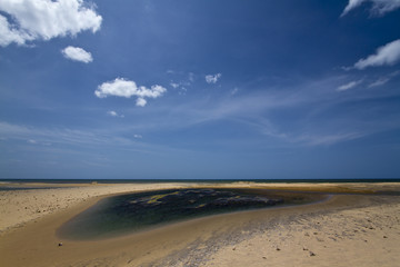 Kokkilai lagoon, Sri Lanka