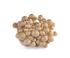 Bunch of brown beech mushrooms