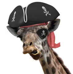 Papier Peint photo autocollant Girafe Image animale drôle d& 39 une girafe fraîche utilisant un chapeau de pirate