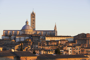 Fototapeta premium Siena