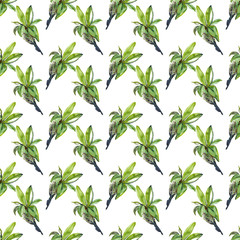 Spring branch of bird cherry seamless pattern