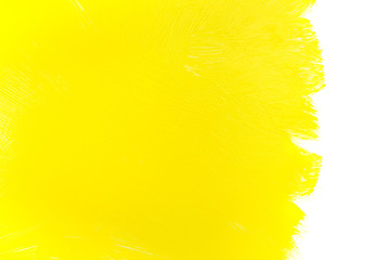 yellow paint brush strokes