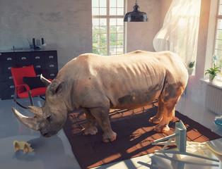 Naklejka premium rhinoceros in the room. photo combination