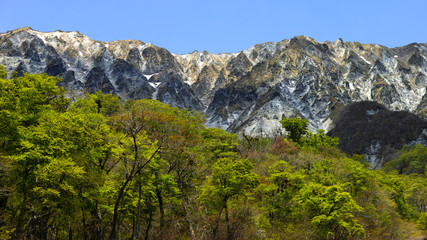 伯耆富士　大山　初夏の南壁