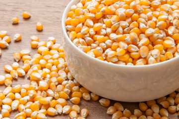 Yellow corn grain