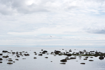 Still Baltic sea.