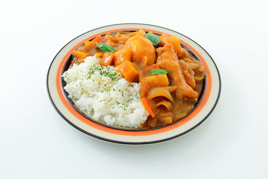 美味しそうなカレーライス 