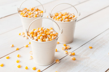 seeds of corn (maize)  in small bucket
