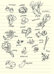 Obraz premium vegetable hand doodle illustration