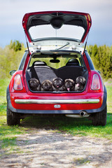 group of puppies in a car trunk