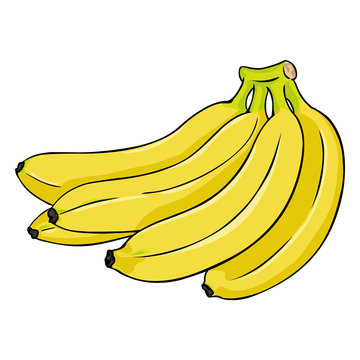 Vector Cartoon Bunch of Bananas