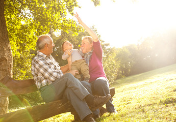 Grandparents with grandson enjoying in park