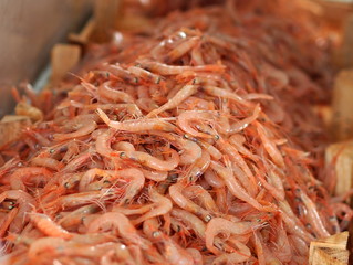 gamberi pescati