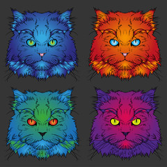 Set of Head of the Persian cat graphics