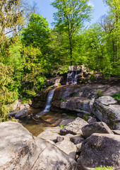 forest with a waterfall