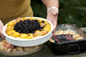 home made fruit pie with fresh fruits