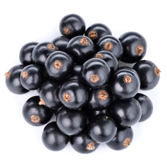 currant