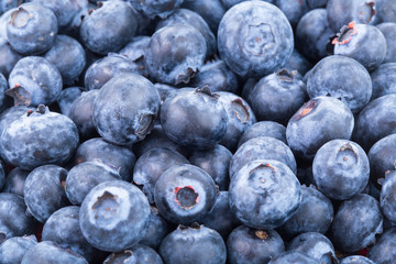 blueberries