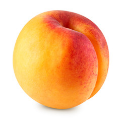 Apricot