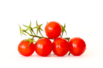 fresh tomatoes (white background)