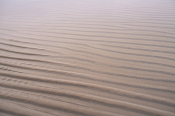 Wave-shaped sand and shallow water on beach in winter