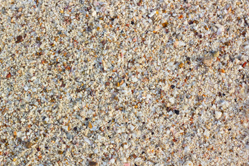 Summer and beach background