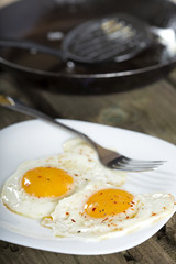 Two fried eggs
