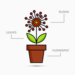 Flower in flowerpot