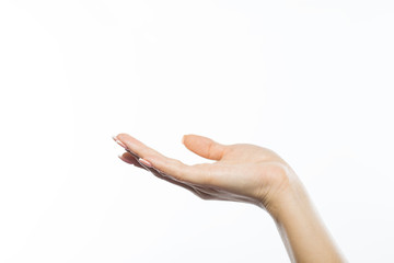 Female hand on white background